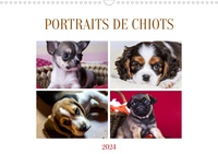 Jérôme Aupeix - CALVENDO Animaux  : Portraits de chiots (Calendrier mural 2024 DIN A3 vertical), CALVENDO calendrier mensuel - Photographies de races de chiots les plus connues.