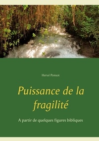 Hervé Ponsot - Puissance de la fragilité - A partir de quelques figures bibliques.