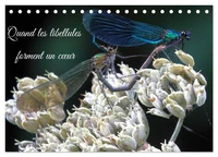 Quand les libellules forment un coeur (Calendrier de bureau 2026 DIN A5 vertical), CALVENDO calendrier mensuel