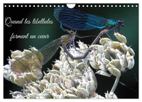 Quand les libellules forment un coeur (Calendrier mural 2026 DIN A4 vertical), CALVENDO calendrier mensuel