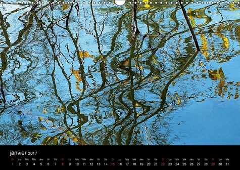 Reflets d'autan. Lorsque le vent souffle, les arbres se déforment. Calendrier mural A3 horizontal  Edition 2017