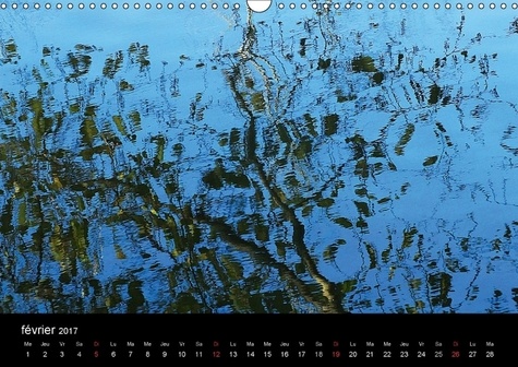 Reflets d'autan. Lorsque le vent souffle, les arbres se déforment. Calendrier mural A3 horizontal  Edition 2017