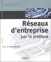 Jean-Luc Montagnier - Réseaux d'entreprise par la pratique.