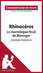 Rhinocéros de Ionesco : Le monologue final de Bérenger