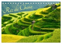 Riz de Chine (Calendrier de bureau 2026 DIN A5 vertical), CALVENDO calendrier mensuel