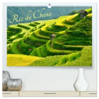 Riz de Chine  (Calendrier mural 2026 DIN A2 vertical) calendrier de bureau