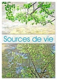 Patrice Thébault - CALVENDO Nature  : Sources de vie (Calendrier mural 2024 DIN A3 horizontal), CALVENDO calendrier mensuel - Rivières et cascades en Occitanie.