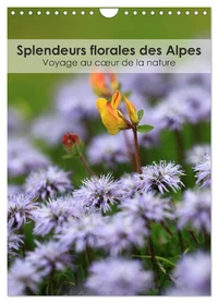 Splendeurs florales des Alpes - Voyage au coeur de la nature (Calendrier mural 2025 DIN A4 horizontal), CALVENDO calendrier mensuel