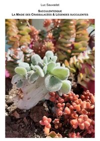 Succulentesque