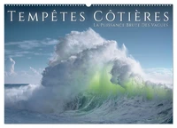 Tempêtes côtières - La puissance brute des vagues (Calendrier mural 2026 DIN A2 vertical), CALVENDO calendrier mensuel
