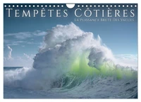 Tempêtes côtières - La puissance brute des vagues (Calendrier mural 2026 DIN A4 vertical), CALVENDO calendrier mensuel