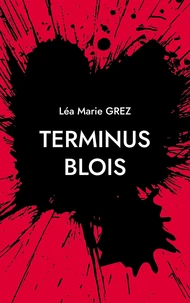 Terminus Blois