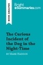 Summaries Bright - BrightSummaries.com  : The Curious Incident of the Dog in the Night-Time by Mark Haddon (Book Analysis) - Detailed Summary, Analysis and Reading Guide.