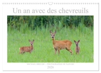 Un an avec des chevreuils (Calendrier mural 2026 DIN A3 vertical), CALVENDO calendrier mensuel