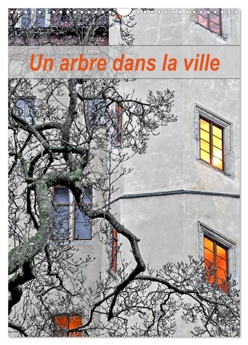 Patrice Thébault - CALVENDO Nature  : Un arbre dans la ville (Calendrier mural 2024 DIN A3 horizontal), CALVENDO calendrier mensuel - Paysage urbain avec la présence d'arbres.
