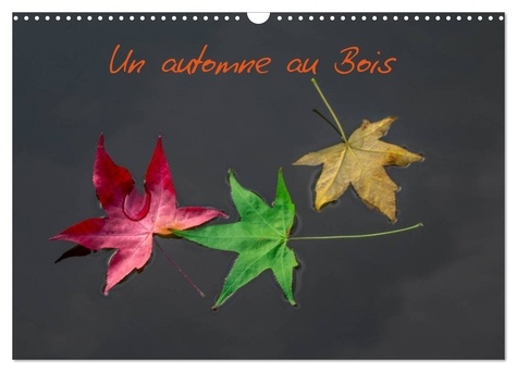 Neves paulo C. - CALVENDO Places  : Un automne au Bois (Calendrier mural 2024 DIN A3 vertical), CALVENDO calendrier mensuel - Un automne dans le Bois de Boulogne..