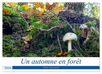 Alain Gaymard - CALVENDO Nature  : Un automne en forêt (Calendrier mural 2024 DIN A3 vertical), CALVENDO calendrier mensuel - Promenades en automne en forêt.