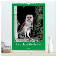 Une chouette de vie, les oiseaux (Calendrier mural 2026 DIN A2 horizontal) calendrier de bureau