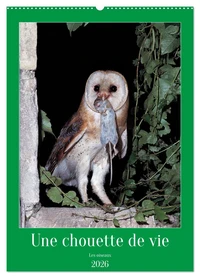 Une chouette de vie, les oiseaux (Calendrier mural 2026 DIN A2 horizontal), CALVENDO calendrier mensuel