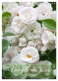 Une fête des roses (Calendrier mural 2026 DIN A4 horizontal), CALVENDO calendrier mensuel
