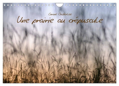 Corine Oosterlee - CALVENDO Nature  : Une prairie au crépuscule (Calendrier mural 2024 DIN A4 vertical), CALVENDO calendrier mensuel - Beauté des graminées.