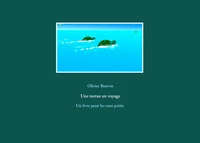 Une tortue en voyage