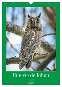 Une vie de hibou les oiseaux (Calendrier mural 2026 DIN A3 horizontal), CALVENDO calendrier mensuel