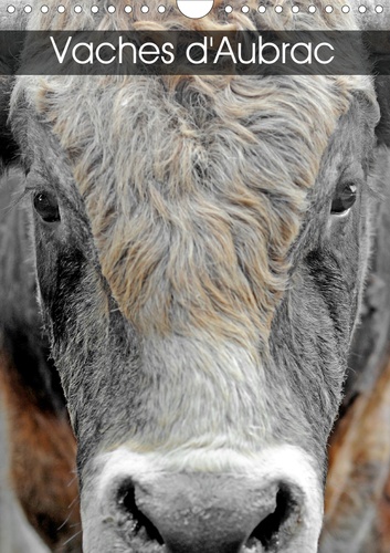Calvendo Animaux Vaches D Aubrac Calendrier De Patrice Thebault Livre Decitre