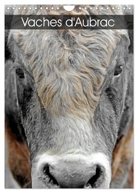 Patrice Thébault - CALVENDO Animaux  : Vaches d'Aubrac (Calendrier mural 2024 DIN A4 horizontal), CALVENDO calendrier mensuel - Les vaches de la race Aubrac en Aveyron.