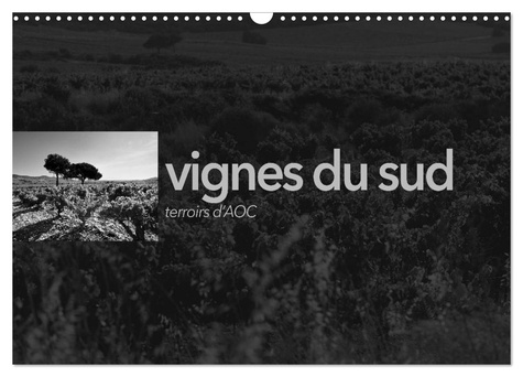 Emmanuel Perrin - CALVENDO Nature  : VIGNES DU SUD terroirs d'AOC (Calendrier mural 2024 DIN A3 vertical), CALVENDO calendrier mensuel - Paysages des terroirs viticoles AOC du sud de la France.