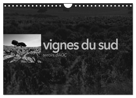 Emmanuel Perrin - CALVENDO Nature  : VIGNES DU SUD terroirs d'AOC (Calendrier mural 2024 DIN A4 vertical), CALVENDO calendrier mensuel - Paysages des terroirs viticoles AOC du sud de la France.