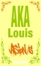 Louis Aka - Vision/s - Eloge de L'Intuition Pure et de La Vision Interne Sans Formes.