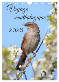 Voyage ornithologique (Calendrier mural 2026 DIN A4 horizontal), CALVENDO calendrier mensuel