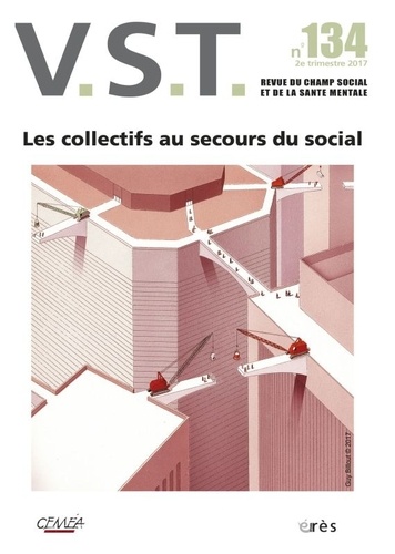 François Chobeaux et Jean-Pierre Martin - VST N° 134, 2e trimestre 2017 : Les collectifs au secours du social.
