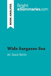 Wide Sargasso Sea by Jean Rhys