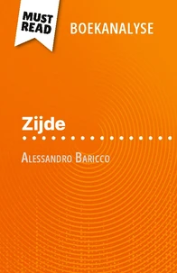 Zijde van Alessandro Baricco (Boekanalyse)