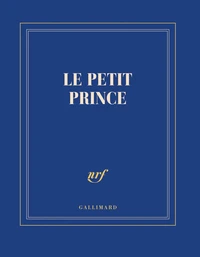Carnet carré couleur - le petit prince