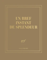 Carnet carré couleur - un bref instant de splendeur