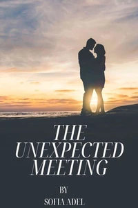 The Unexpected Meeting