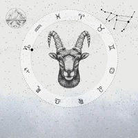 Stenbocken