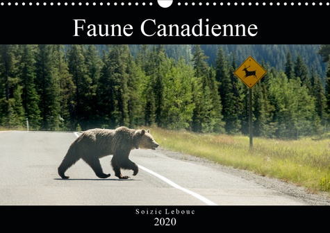 CALVENDO Animaux  Faune Canadienne (Calendrier mural 2020 DIN A3 horizontal). À la rencontre de la faune ouest-canadienne. (Calendrier mensuel, 14 Pages )