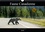 CALVENDO Animaux  Faune Canadienne (Calendrier mural 2020 DIN A4 horizontal). À la rencontre de la faune ouest-canadienne. (Calendrier mensuel, 14 Pages )