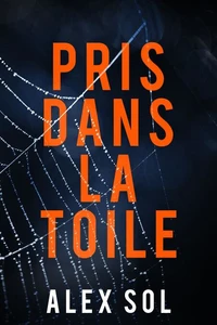 Pris dans la toile