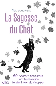 La sagesse des chats