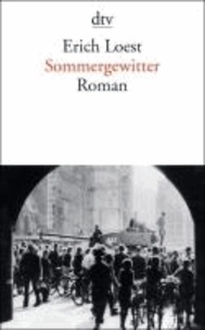 Sommergewitter - Roman.