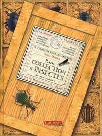 Sonia Dourlot - Petite collection d'insectes de nos régions.