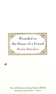 Wounded in the House of a Friend