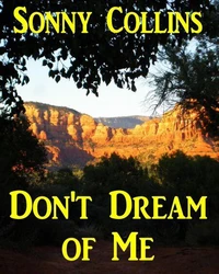 Don't Dream of Me