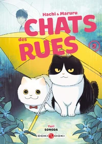 Avec 1 planche de stickers