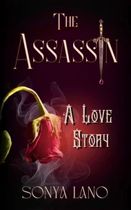 The Assassin: A Love Story